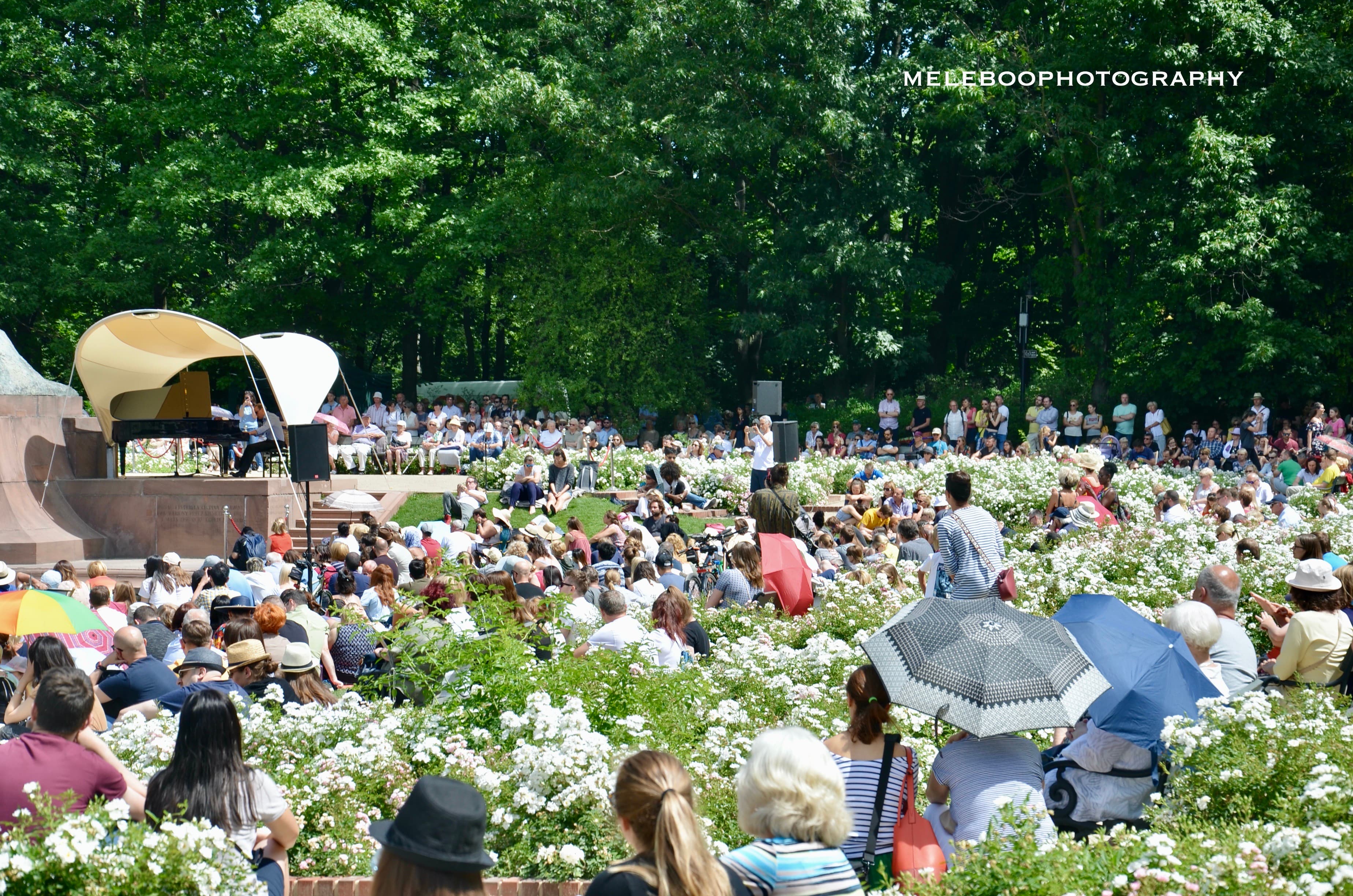 soothing sounds under the sun