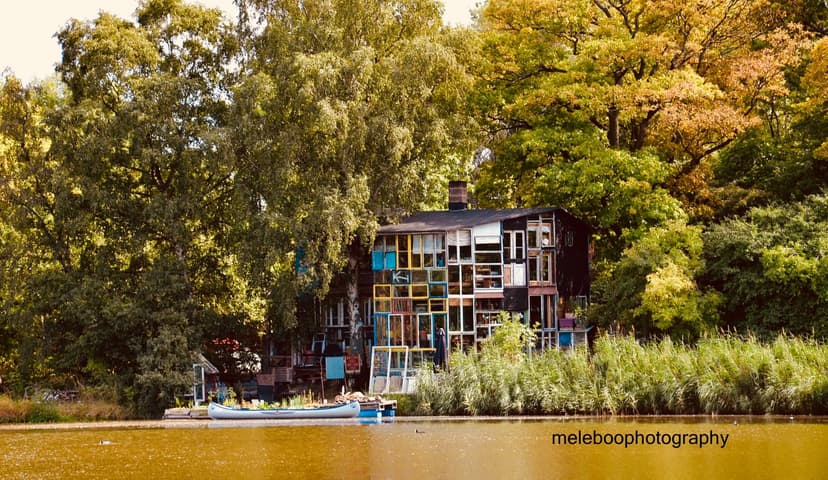 house with many windows